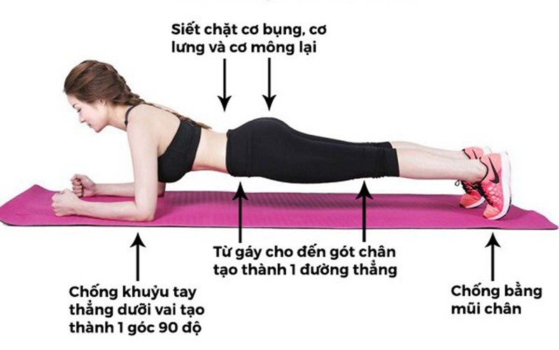 Các bài tập plank giảm mỡ bụng đơn giản tại nhà cho tất cả mọi người